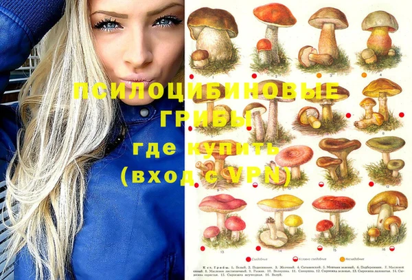 кокаин Алексеевка
