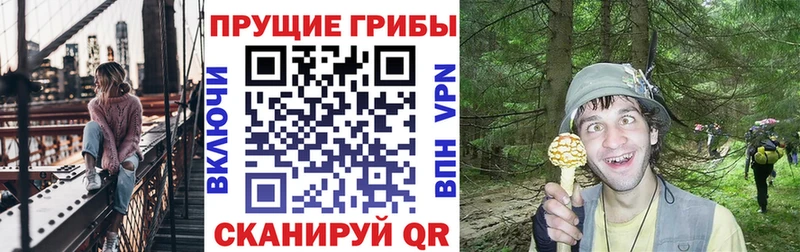 Купить  Серов  Псилоцибиновые грибы мухоморы 